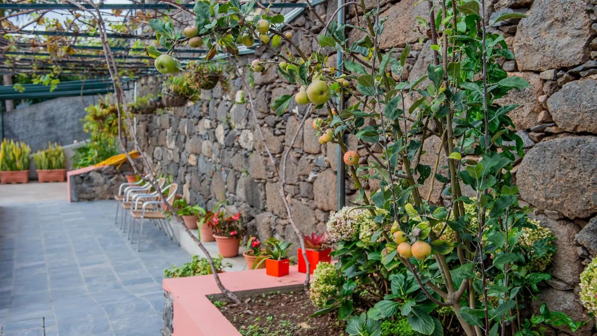 Prázdninový dům Countesses Villa Câmara de Lobos Portugalsko